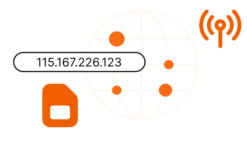 fixed IP SIM card