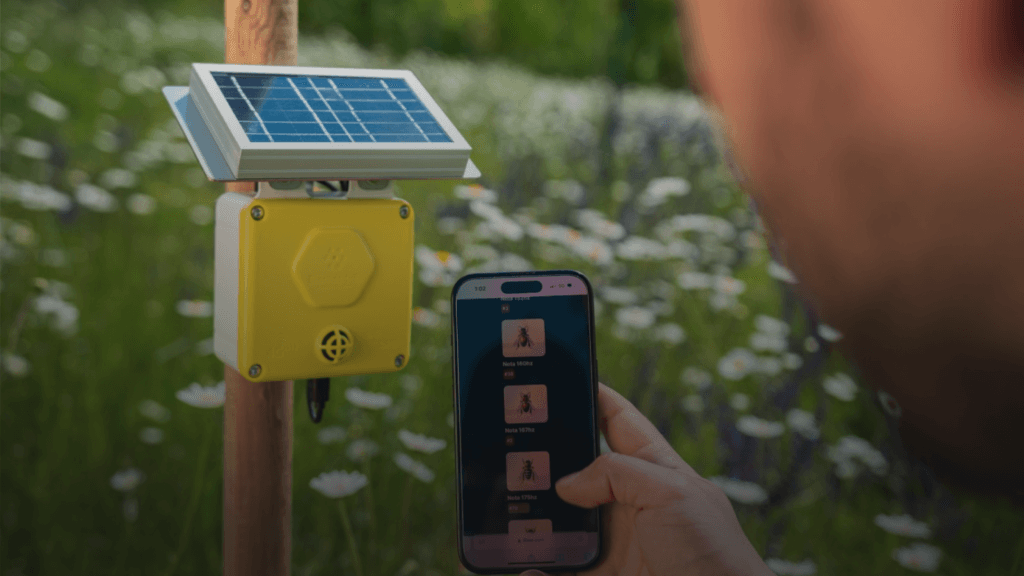 3bee Onomondo connectivity